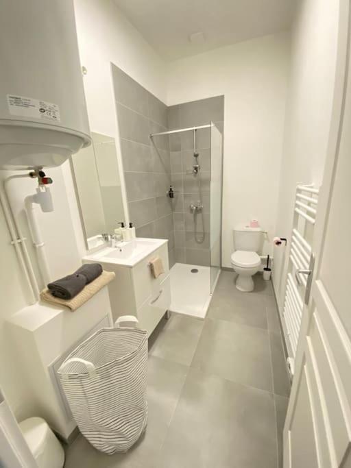 Appartement Coup De Coeur En Centre-Ville Orlean Zewnętrze zdjęcie